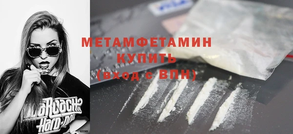 индика Волосово