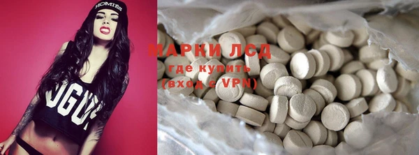 индика Волосово