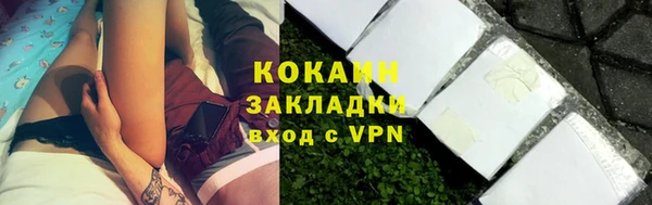гидра Верея