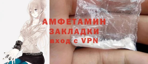 гидра Верея