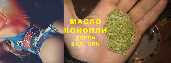 гидра Верея