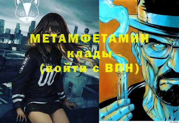 индика Волосово