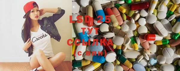 индика Волосово